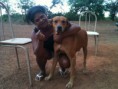 Cão salva dona de estupro no Distrito Federal